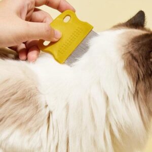 Astral Plane PET, ΚΩΔ.: S5309-YELLOW